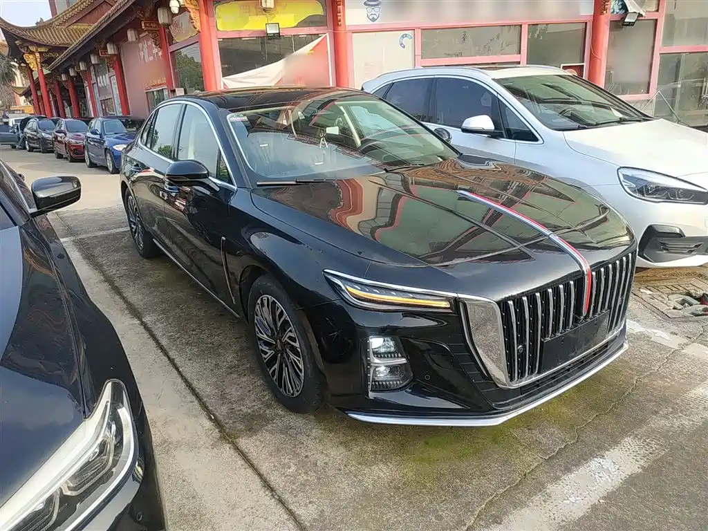 Hongqi H5 2024 2.0T Automatic Smart Connect Flag Smooth Edition фото 22