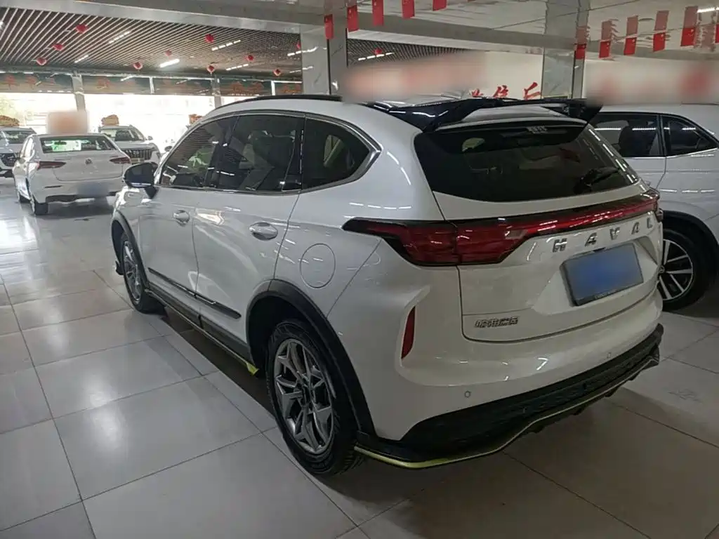 Haval Chitu 2022 2022 Power Edition 1.5T Purple Copper Rabbit