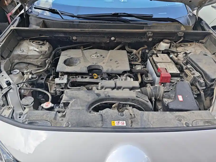 Toyota Wildlander 2020 2020 2.0L CVT AWD Luxury Edition