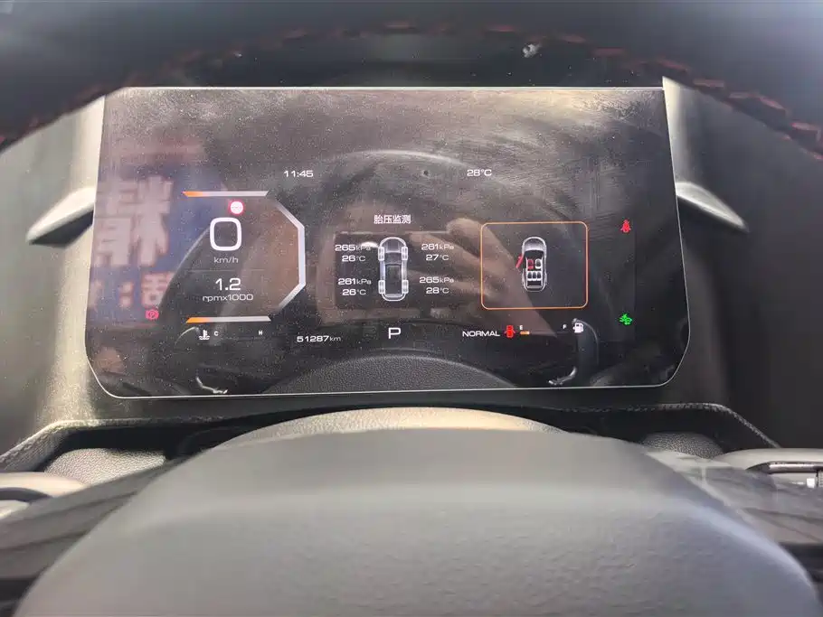 Haval Big Dog 2021 1.5T DCT 2WD Border Collie Edition фото 14
