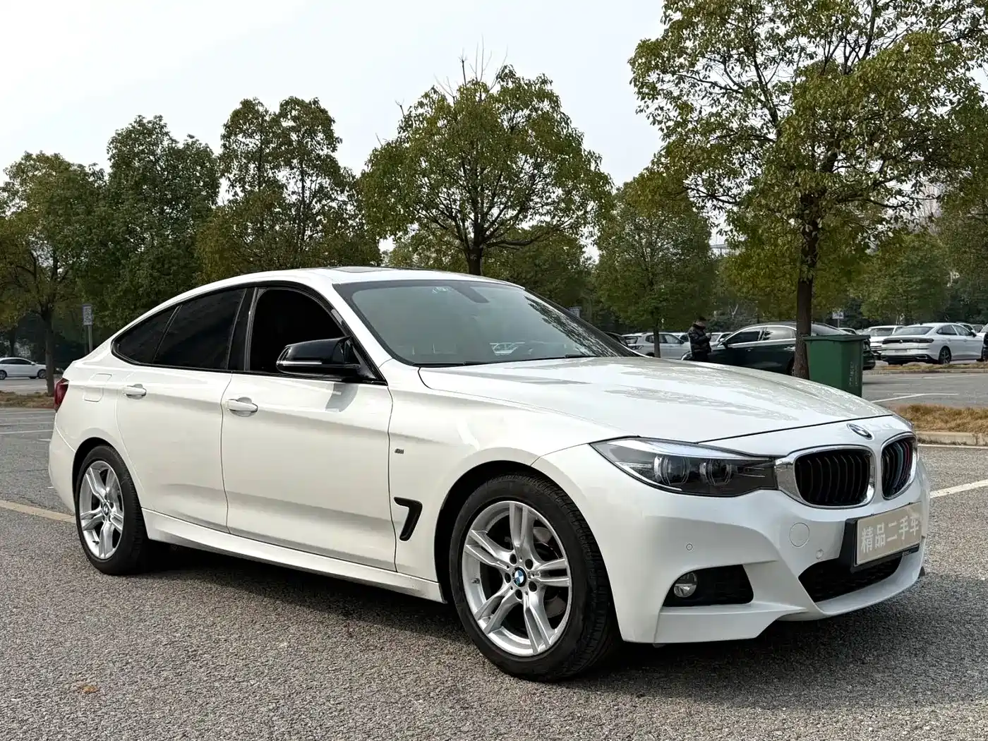 صورة 3 - BMW 3 Series GT
