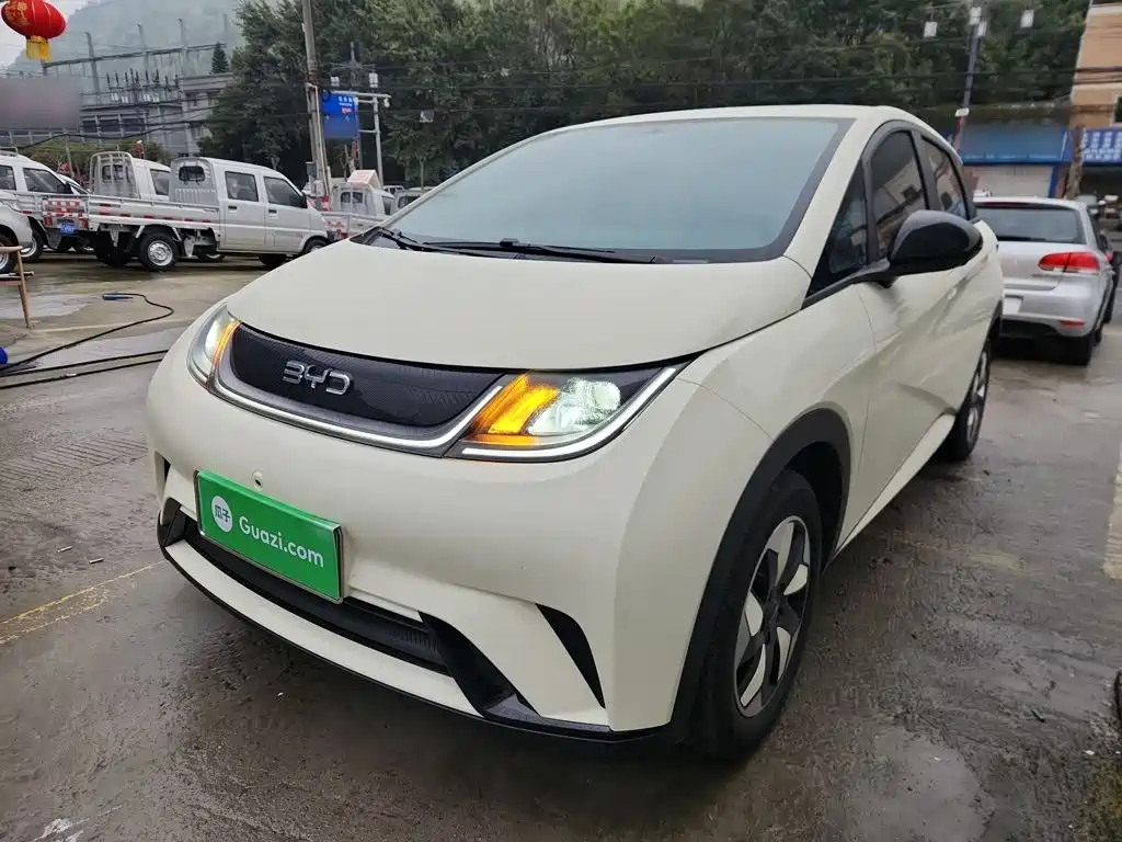 BYD Dolphin 2025 420km Freedom Edition