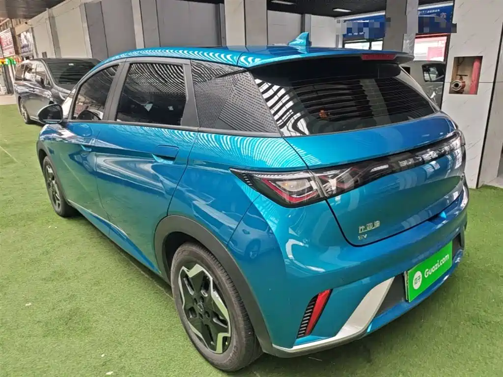 BYD Dolphin 2021 Model 405km Fashion Edition фото 5