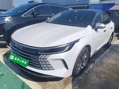 BYD Destroyer 05