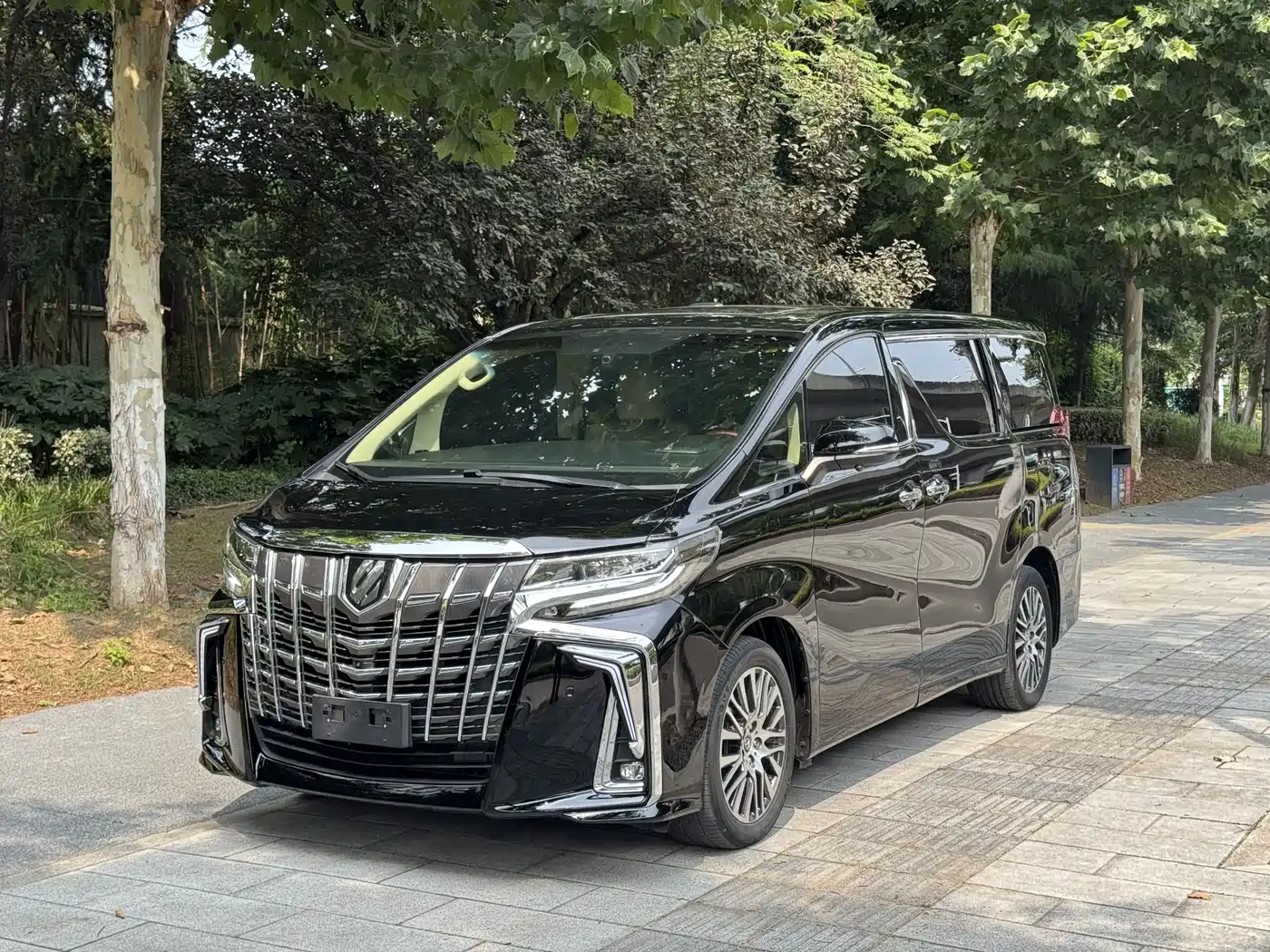 Фото 1 - Toyota Alphard