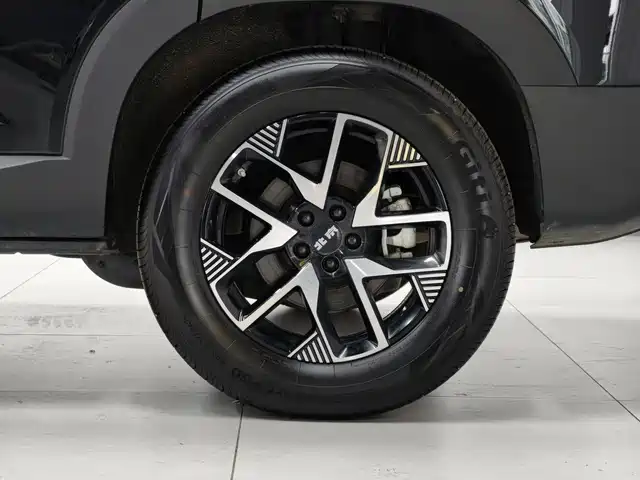 BAIC ORV Beijing Off-Road BJ30 2025 2024 1.5T Light Off-Road Pro Edition
