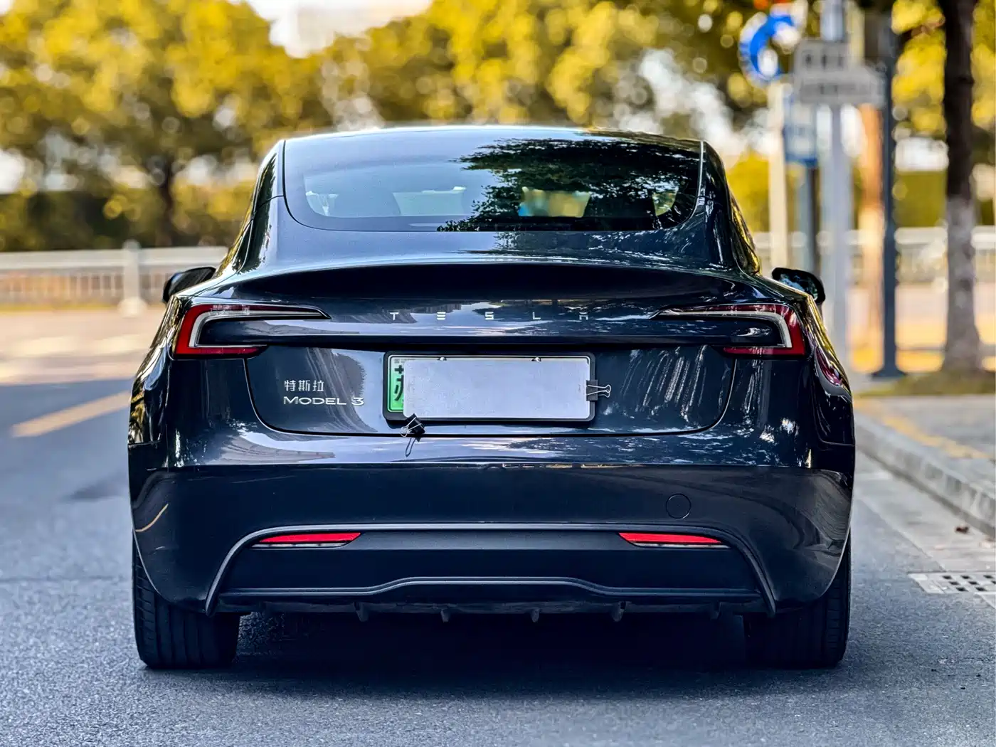 Фото 4 - Tesla Model 3