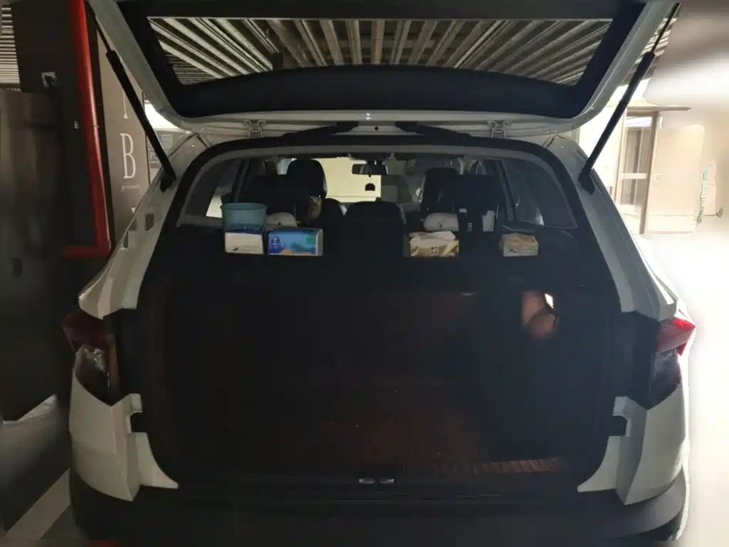 Škoda Karoq 2019 TSI280 Smart Drive Premium Edition China VI фото 10