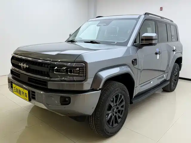 fang-cheng-bao leopard-5