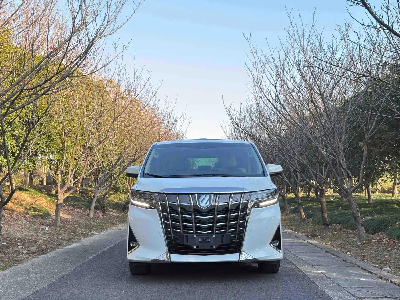 Toyota Alphard 2021 Hybrid 2.5L Premium фото 4