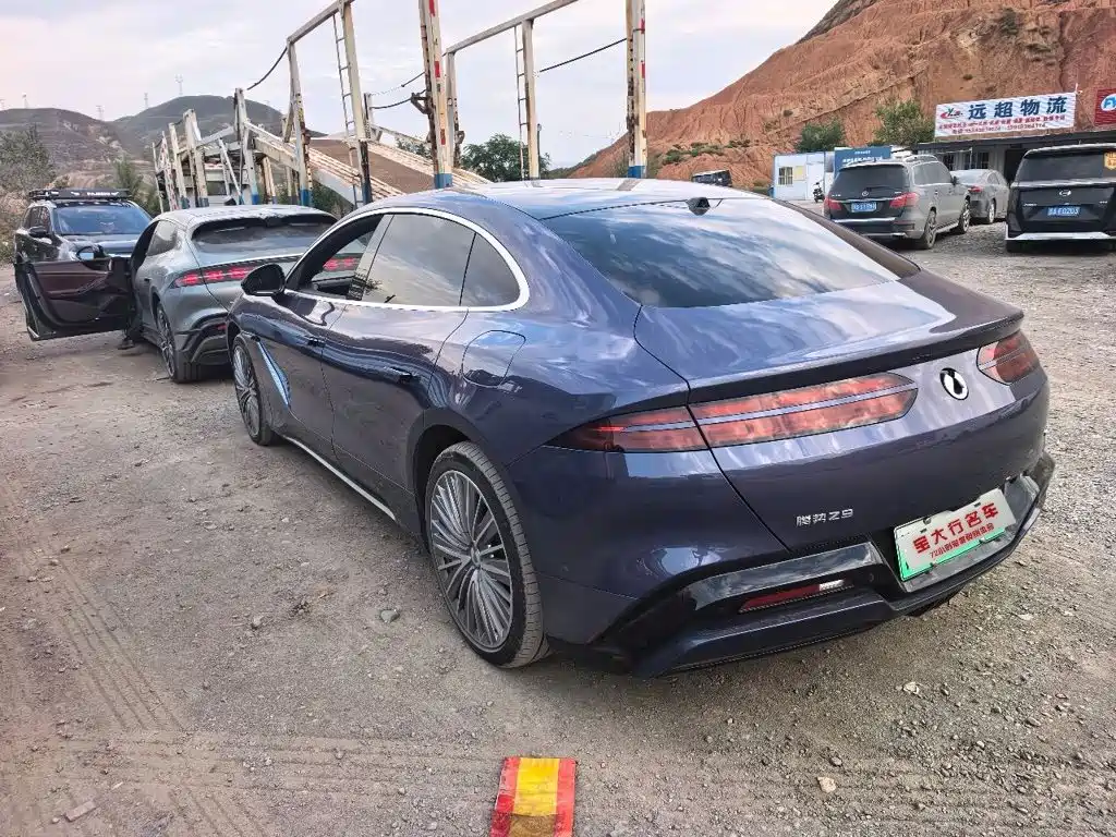 Фото 3 - Denza Z9