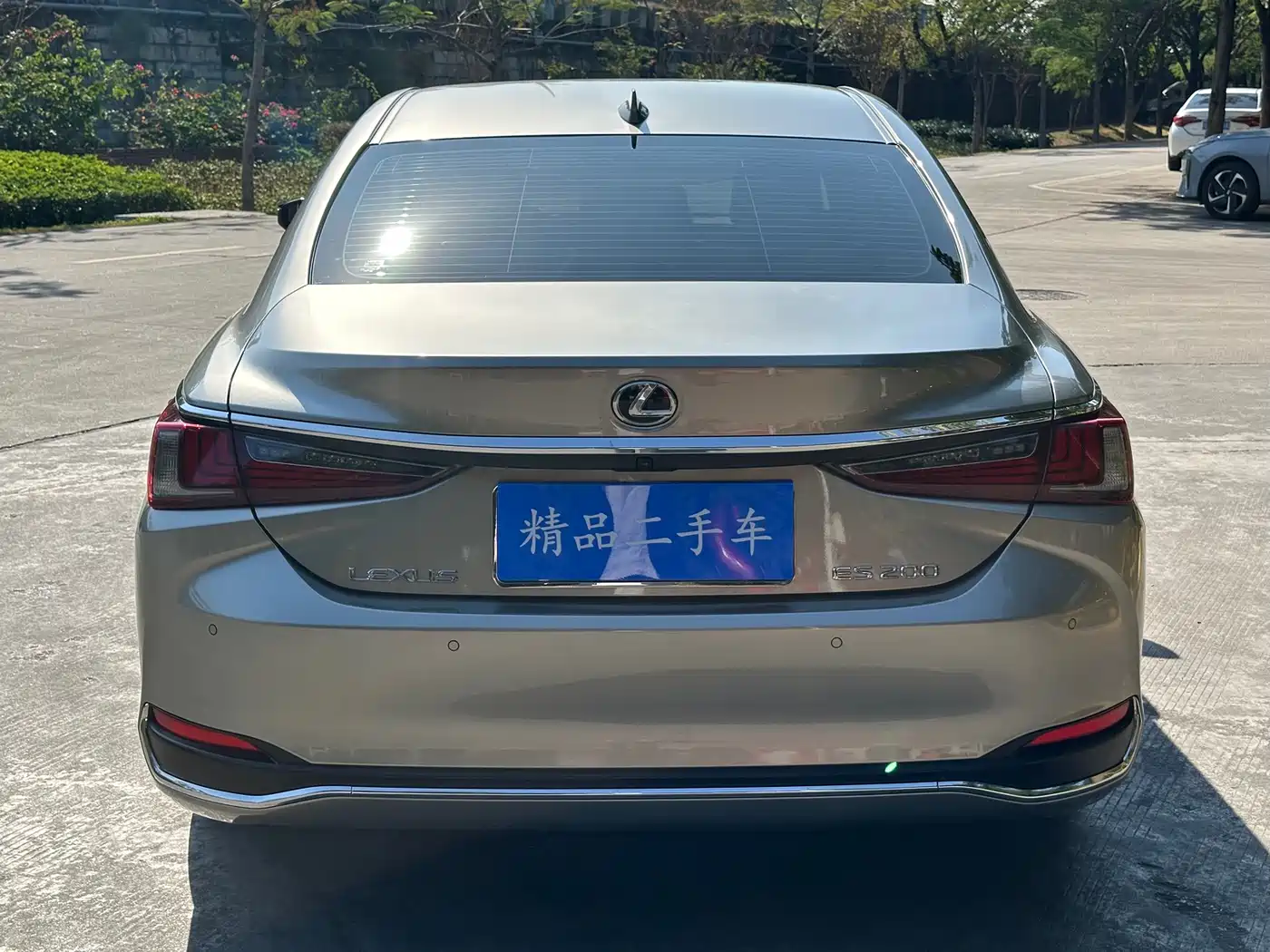 Lexus ES 2022 200 Excellence Edition фото 30