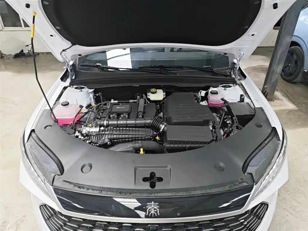 BYD Qin PLUS 2026 DM-i Smart Edition 128KM Progressive фото 20