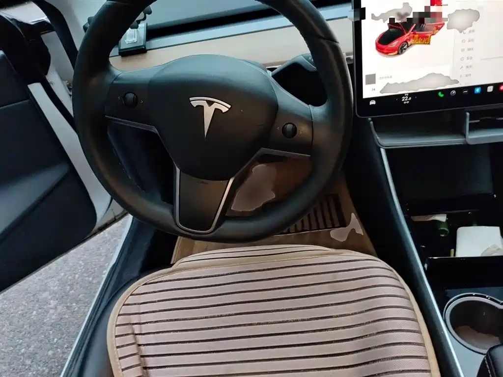 TESLA MODEL 3 (IMPORTED)