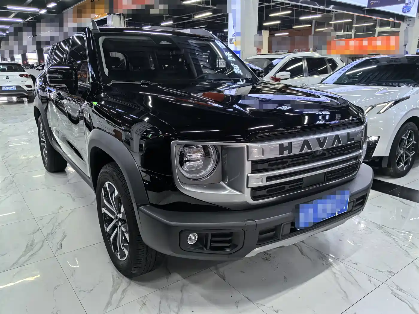 Haval Dargo 2024 2024 1.5T DCT Border Collie Edition