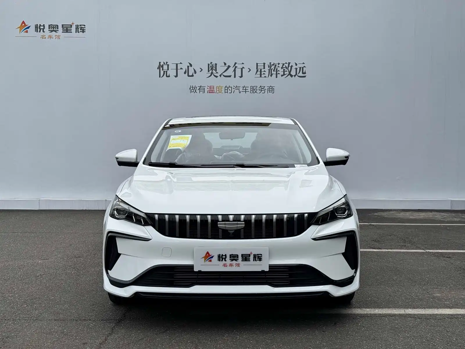 Фото 2 - Geely Binrui