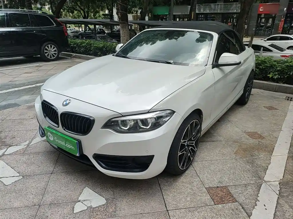 BMW 2 Series (Import) 2019 225i Convertible Coupe Sport Design Package