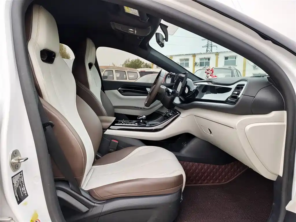 BYD Qin PLUS 2024 Glory Edition DM-i 55KM Leading фото 15