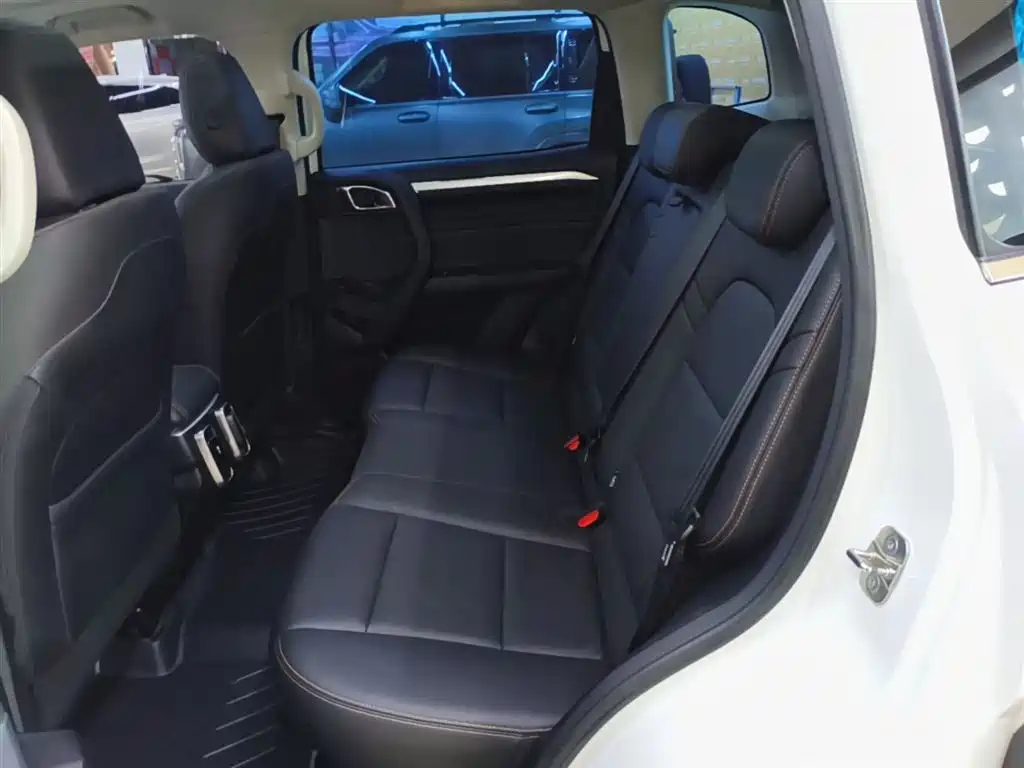 Haval Big Dog 2021 1.5T DCT 2WD Border Collie - Wangcai Edition фото 17