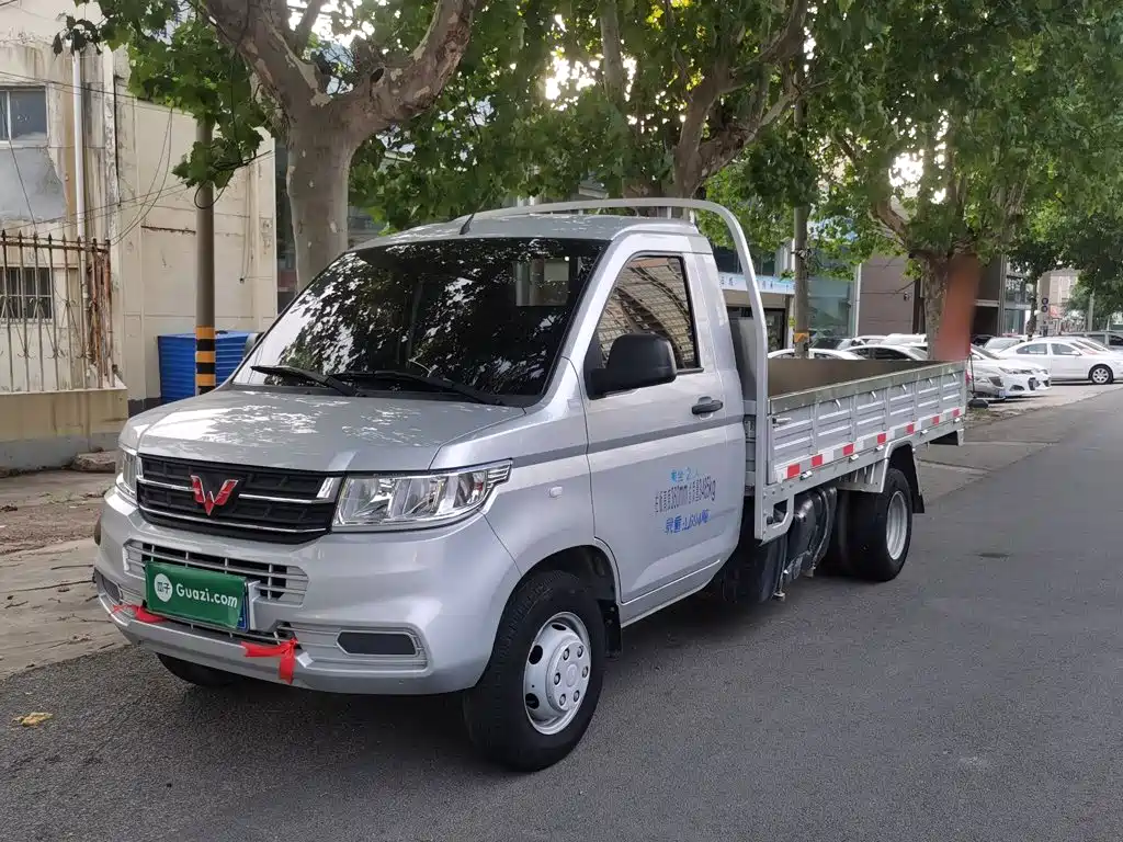 Wuling Motors Wuling Rongguang New Truck 2023 2021 Model 1.8L Basic Single Cab Dual Rear Wheels LJ479Q6