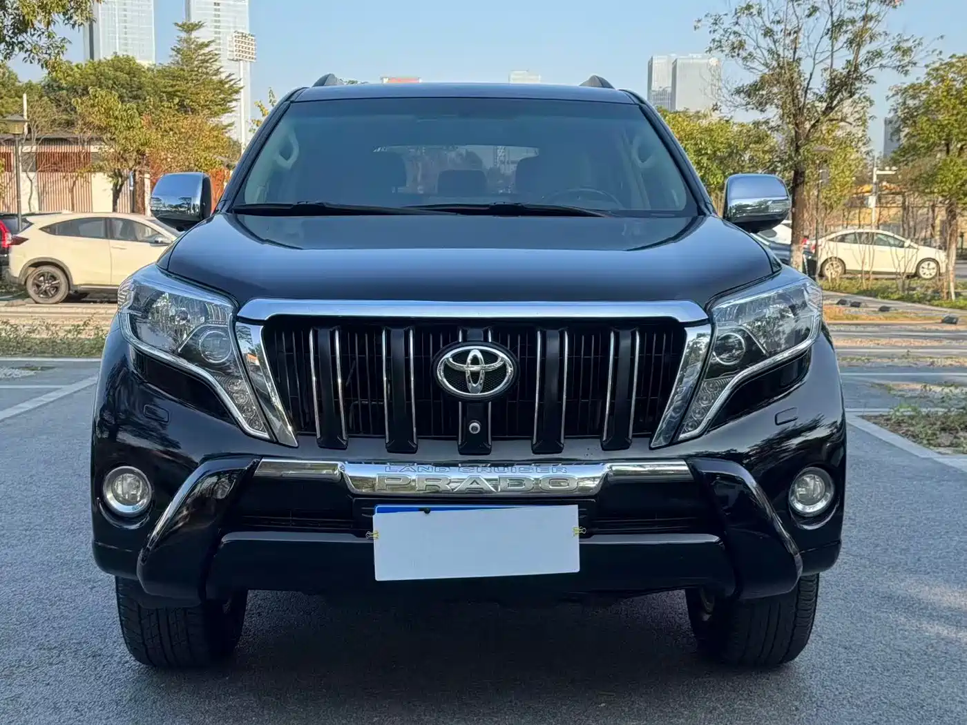 Toyota Prado (Import) фото 2