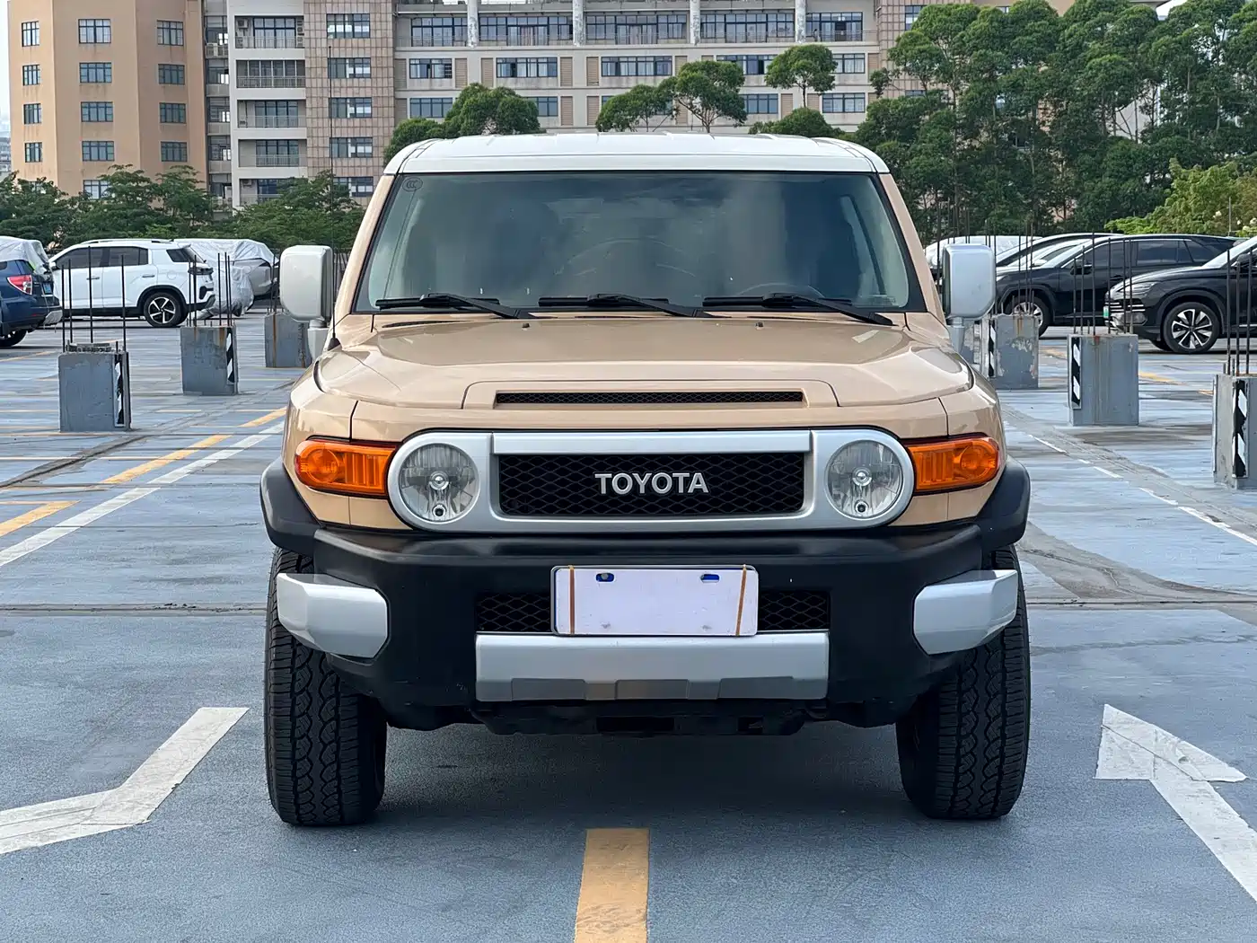 Toyota FJ Cruiser 2007 4.0L фото 5