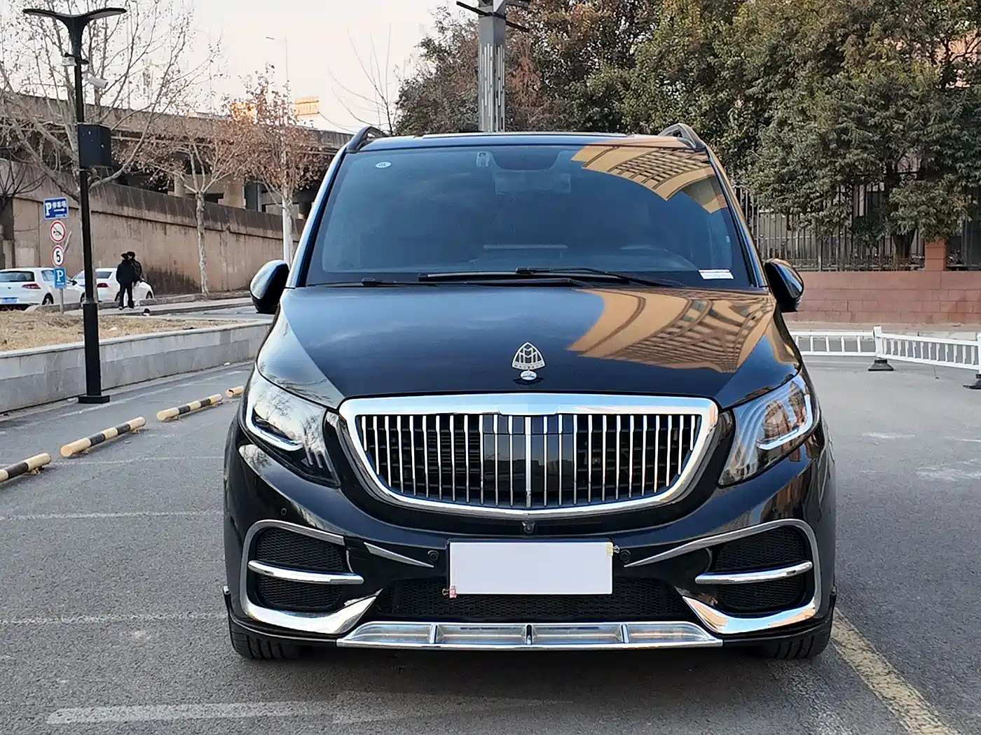 Mercedes-Benz Vito 2018 2.0T Elite Edition 7-seater China VI фото 3