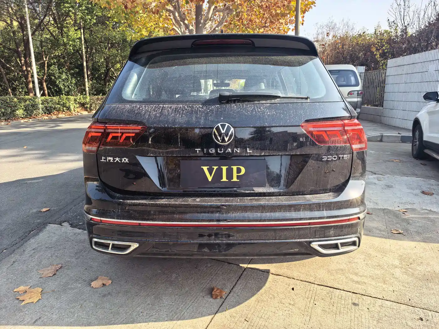 Volkswagen Tiguan L 2024 Outstanding 330TSI Auto 2WD Dragon Soaring Edition фото 9