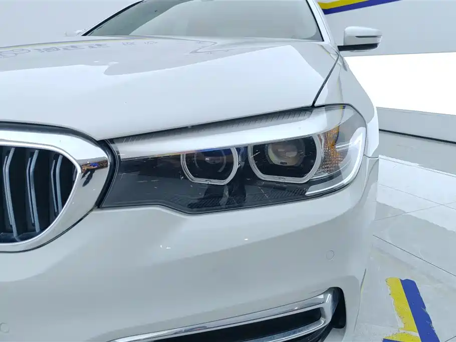 BMW 5 Series 2020 525Li Luxury Package фото 5