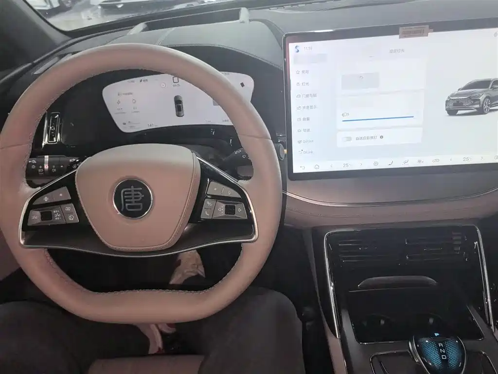 BYD Tang New Energy 2025 Smart Driving Edition DM-i 115KM Flagship фото 6