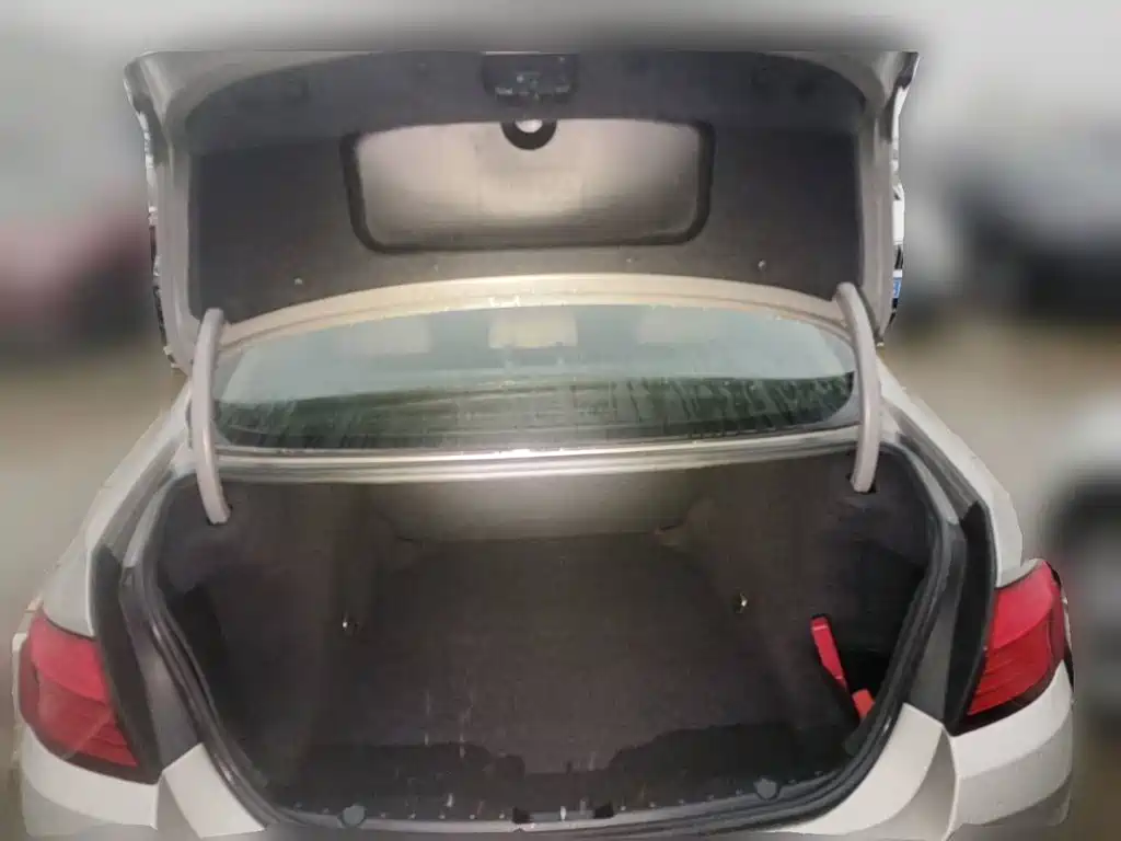 BMW 5 Series (Import) 2013 2014 520i Classic