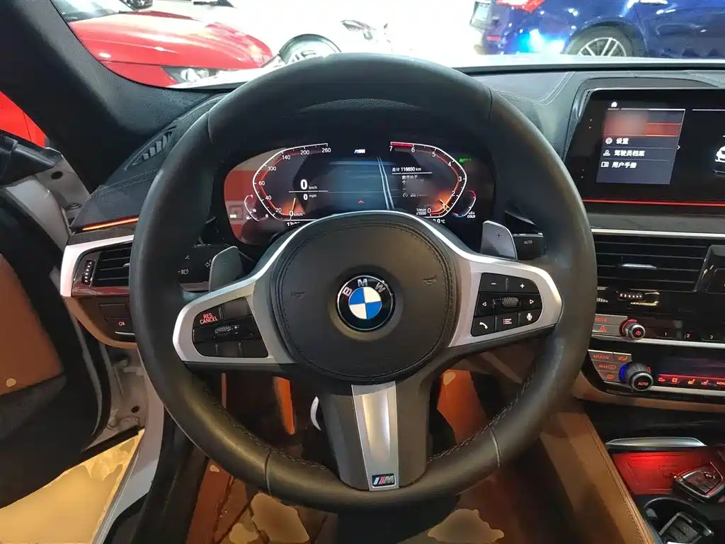 BMW 5 Series 2020 530Li Exclusive M Sport Package фото 11