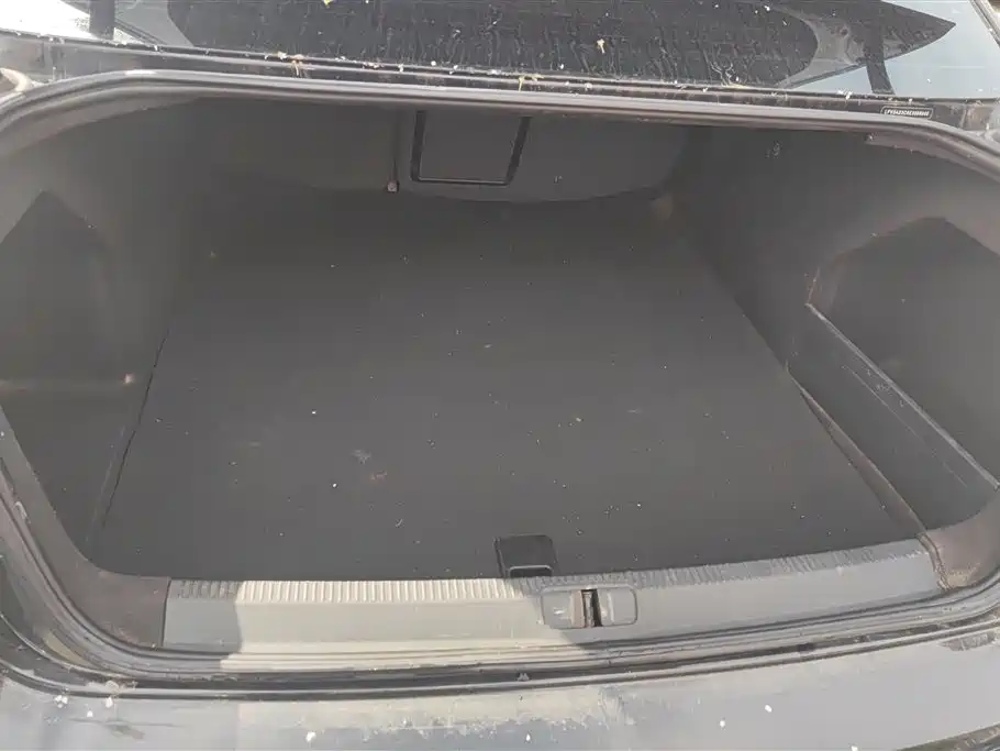 Volkswagen Magotan 2013 2.0TSI Premium фото 4