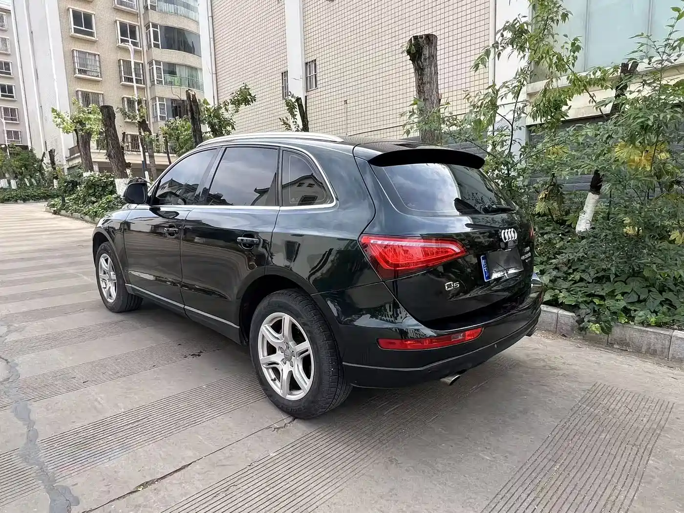 Audi Q5 2010 2.0TFSI Progressive фото 16