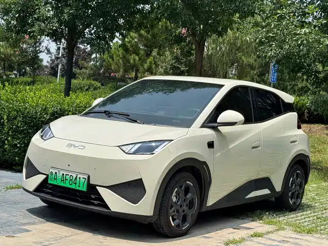 BYD Seagull 305km, Свобода