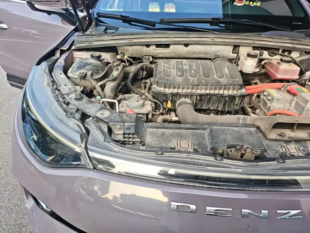 Denza X 2020 2020 Model PHEV Flagship Edition