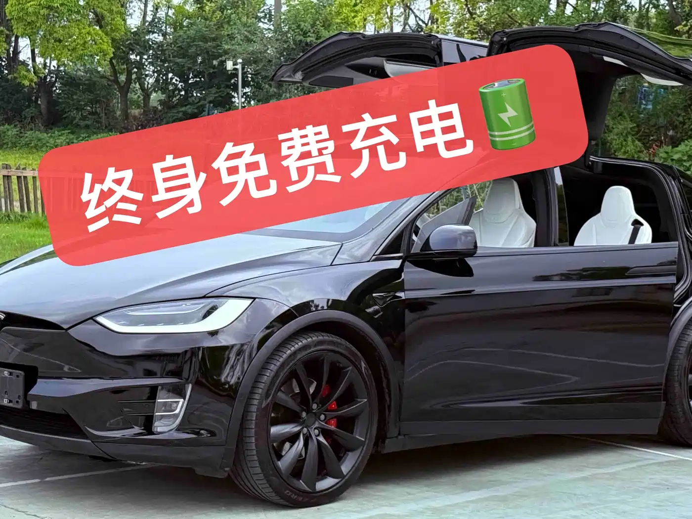 Tesla Model X 2019 Performance High-performance Version фото 2