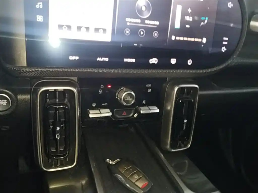 Haval Big Dog 2021 1.5T DCT 2WD Labrador Edition фото 13