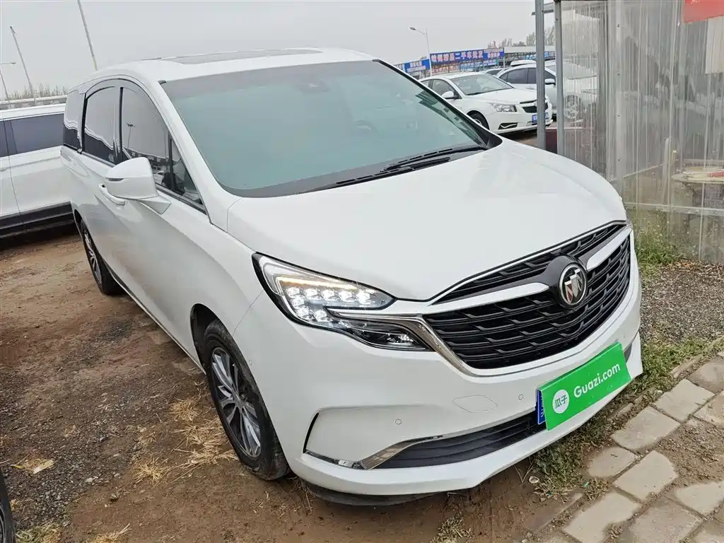 Buick GL8 2021 ES Landlord 653T Premium фото 4