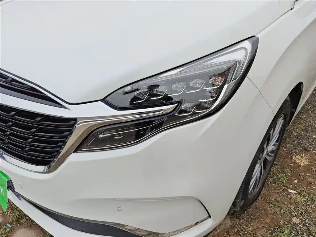 Buick GL8 2021 ES Landlord 653T Premium фото 24