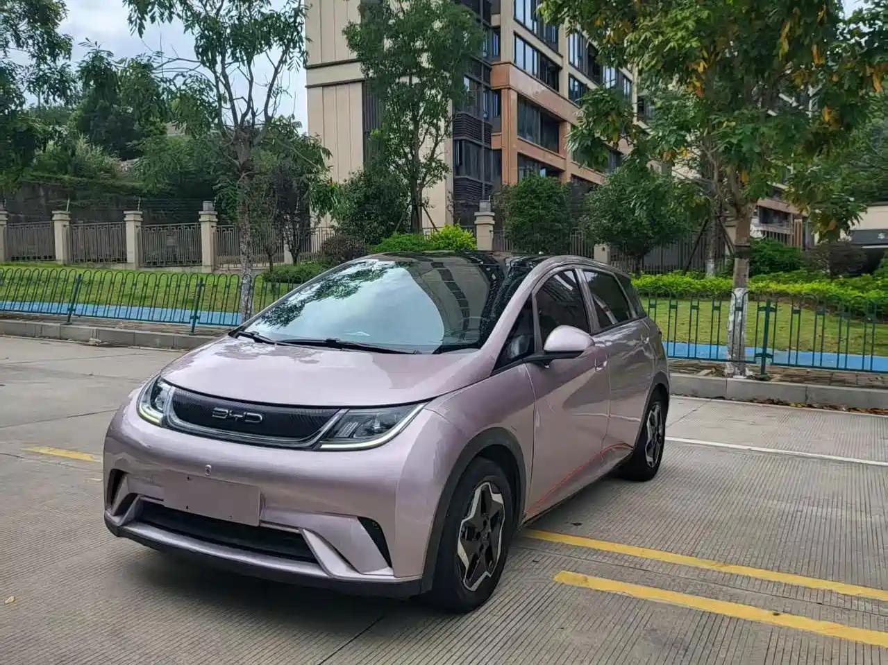 BYD Dolphin 2021 405km Freedom Edition