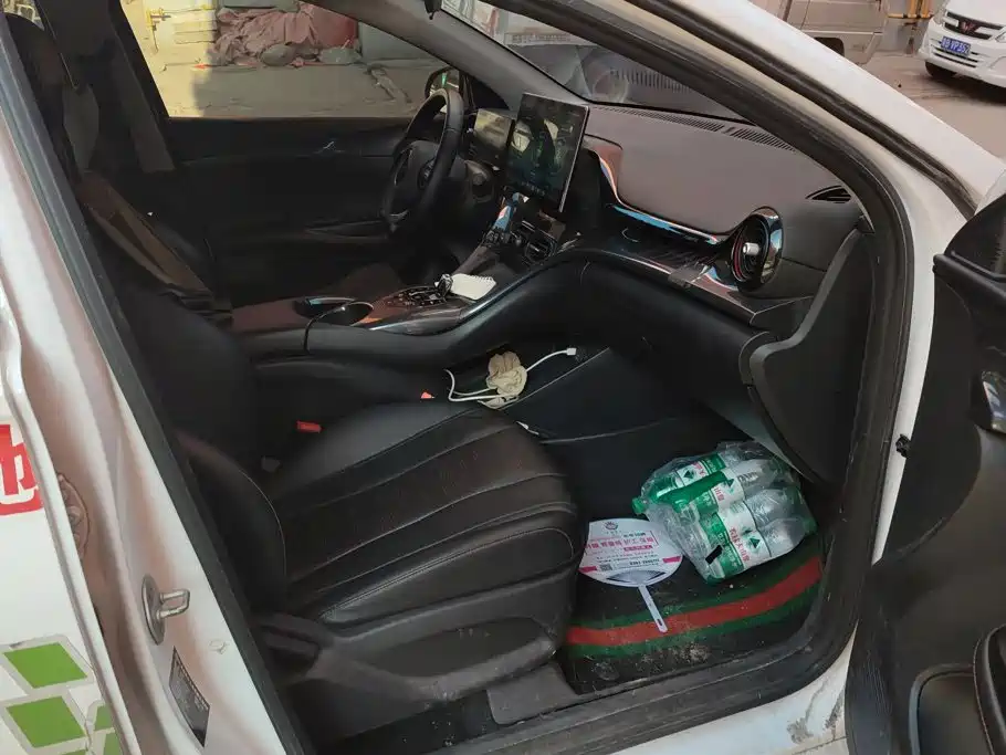 BYD e2 2023 2023 Luxury Model