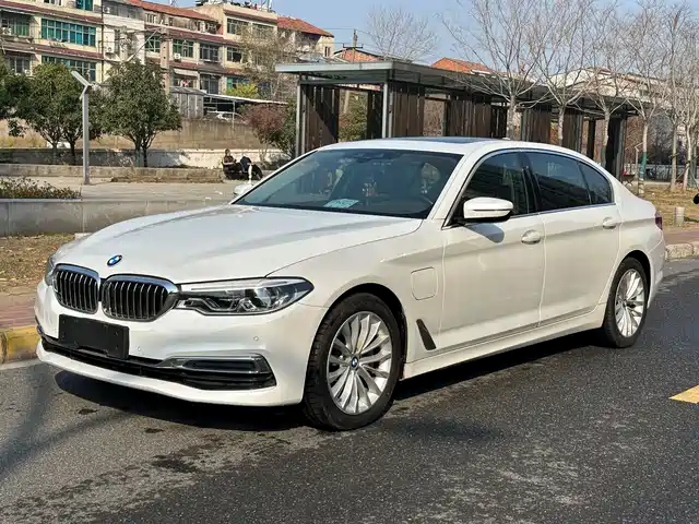 BMW 5 Series New Energy 2020 530Le Range Upgrade Luxury Package