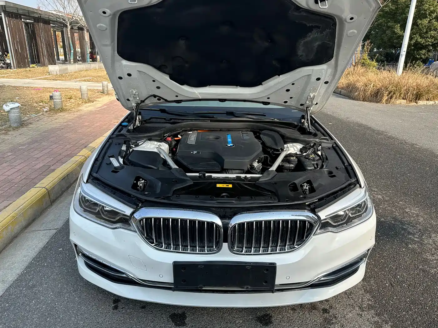 BMW 5 Series New Energy 2020 530Le Luxury Package фото 4