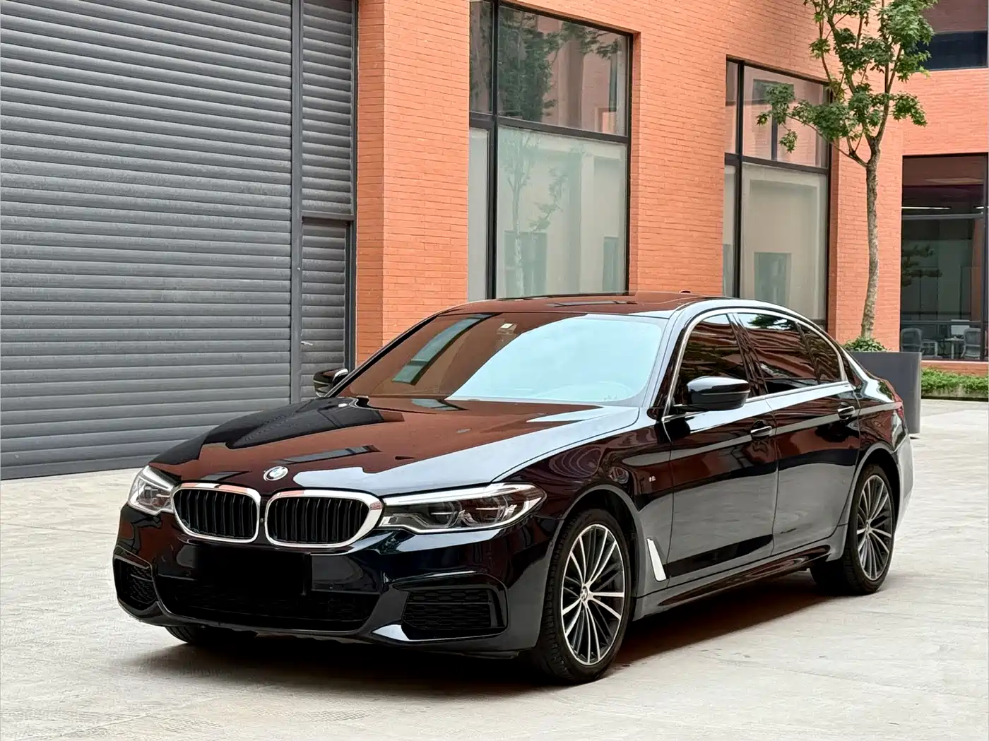 BMW 5 Series 2020 530Li Exclusive M Sport Package