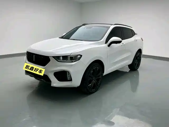 WEI PAI WEI BRAND VV5