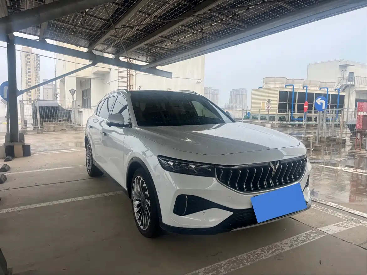 Voyah Auto VOYAH FREE 2021 AWD Standard Range Extender Exclusive Luxury Package фото 3