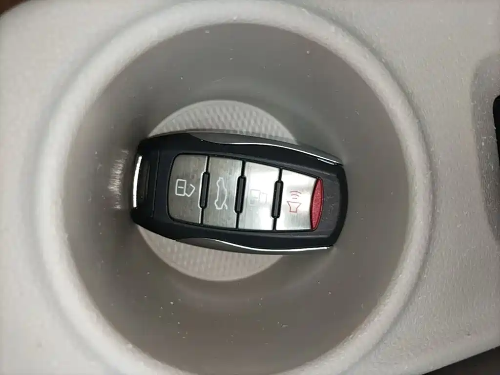Ora White Cat 2020 2020 360km Luxury Model