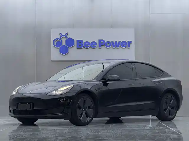 Tesla Model 3 Задний привод