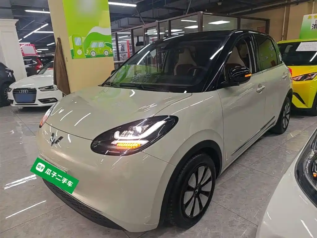 Wuling Motors Wuling Bingo 2023 203km Comfort Version